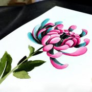 菊花纹身手稿