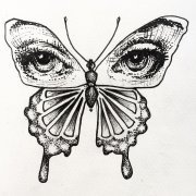 写实眼睛蝴蝶纹身手稿