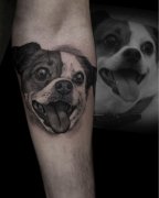 小臂写实狗狗肖像纹身图案