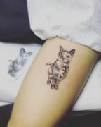大臂黑灰猫咪纹身图案