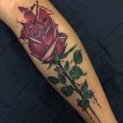 小腿彩色玫瑰纹身图案